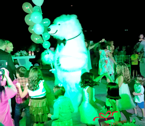 White Polar Bear for Children's Kids Parties in Athens. Order a greeting from a polar bear in Athens. Polar bear for birthday. polar bear in Athens. Order a Polar Bear for children's kids parties. Animator White Polar Bear for a Children's kids Party in Athens. Mascotte White Polar Bear at a kids children's party. Gift Delivery. Polar bear.